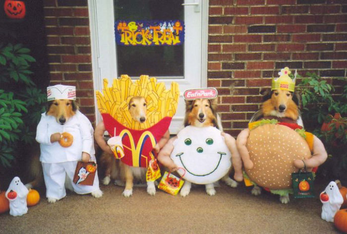 151 Terrifyingly Cute Halloween Costumes For Pets