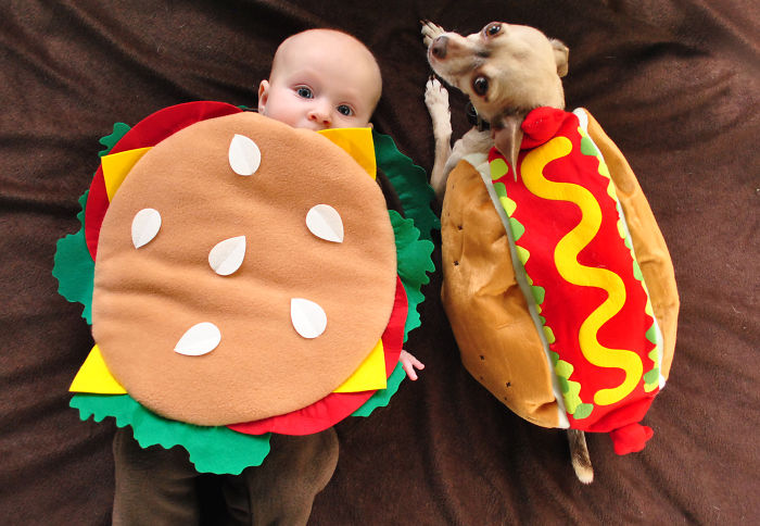 151 Terrifyingly Cute Halloween Costumes For Pets