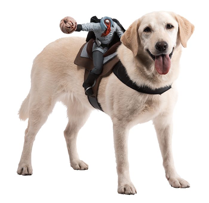 151 Terrifyingly Cute Halloween Costumes For Pets
