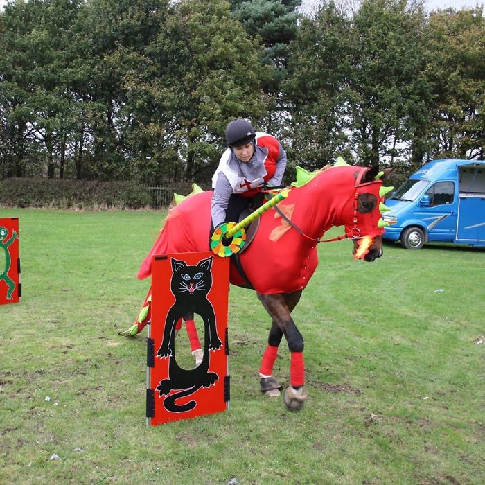 151 Terrifyingly Cute Halloween Costumes For Pets