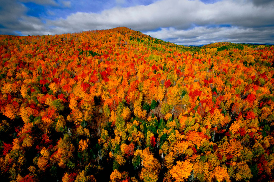 These 203 Beautiful Autumn Photos Will Inspire You To Grab Your Camera These 203 Beautiful Autumn Photos Will Inspire You To Grab Your Camera