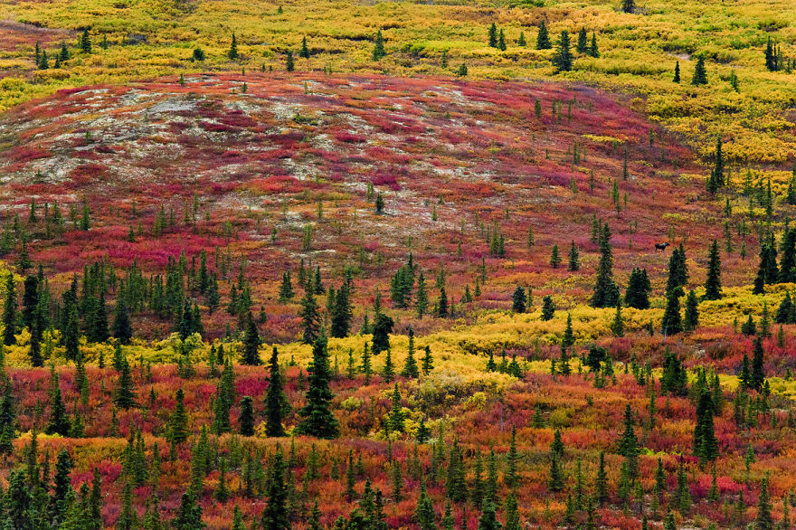 These 203 Beautiful Autumn Photos Will Inspire You To Grab Your Camera These 203 Beautiful Autumn Photos Will Inspire You To Grab Your Camera