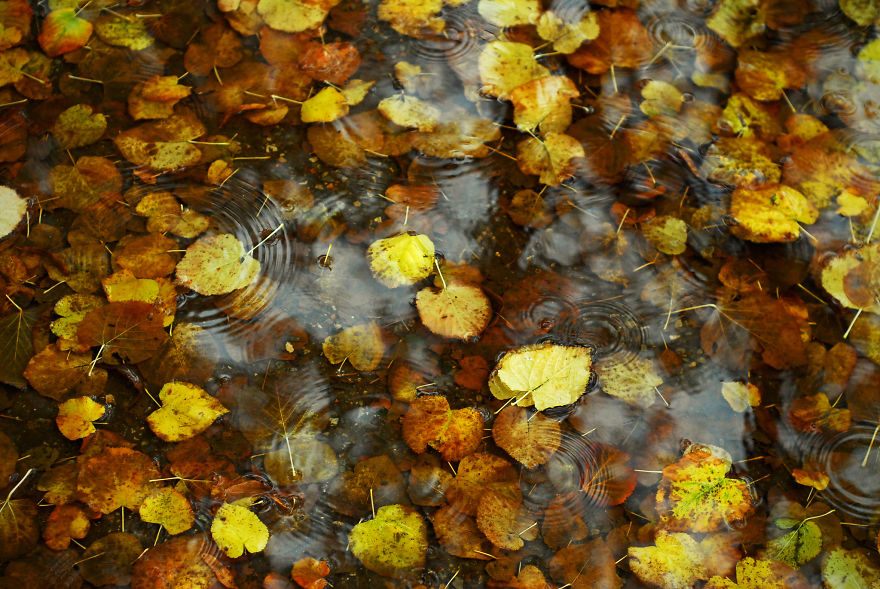 These 203 Beautiful Autumn Photos Will Inspire You To Grab Your Camera These 203 Beautiful Autumn Photos Will Inspire You To Grab Your Camera
