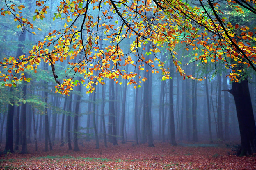 These 203 Beautiful Autumn Photos Will Inspire You To Grab Your Camera These 203 Beautiful Autumn Photos Will Inspire You To Grab Your Camera