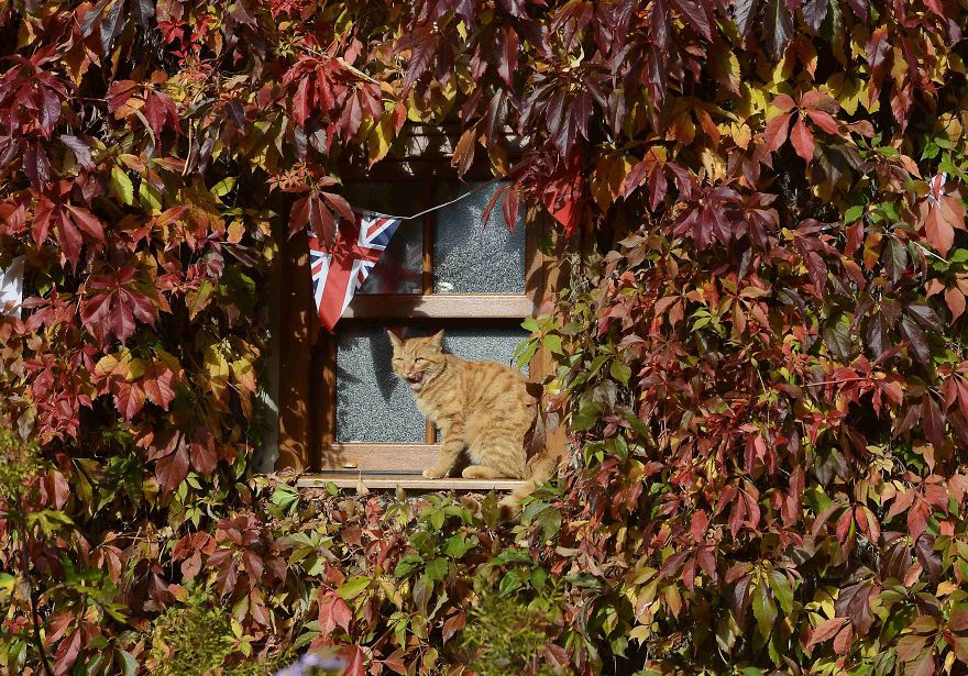 These 203 Beautiful Autumn Photos Will Inspire You To Grab Your Camera These 203 Beautiful Autumn Photos Will Inspire You To Grab Your Camera