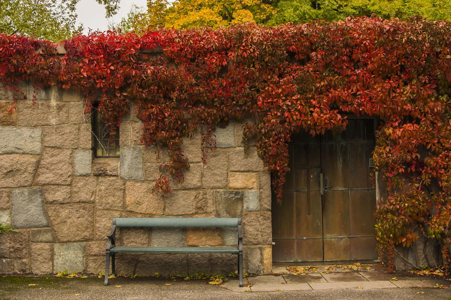 These 203 Beautiful Autumn Photos Will Inspire You To Grab Your Camera These 203 Beautiful Autumn Photos Will Inspire You To Grab Your Camera