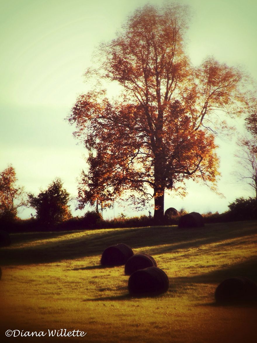 These 203 Beautiful Autumn Photos Will Inspire You To Grab Your Camera These 203 Beautiful Autumn Photos Will Inspire You To Grab Your Camera