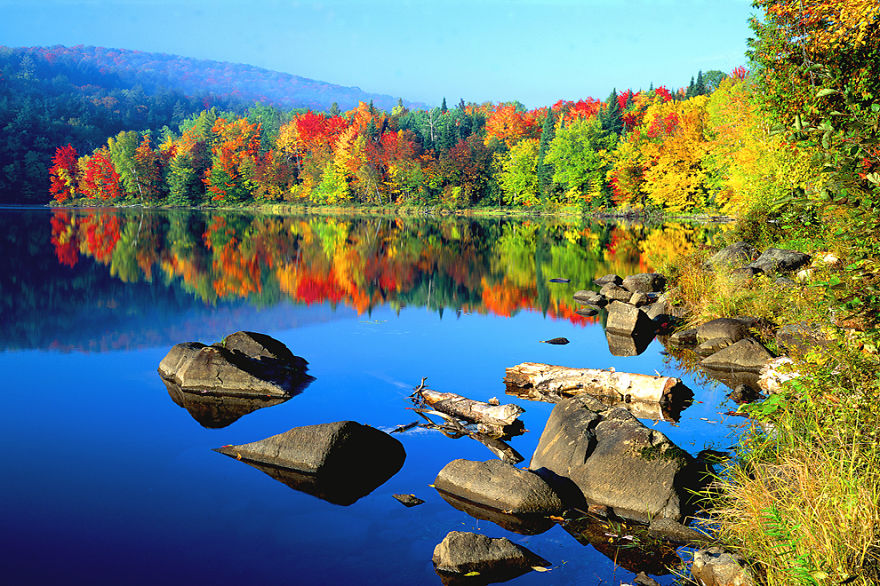 These 203 Beautiful Autumn Photos Will Inspire You To Grab Your Camera These 203 Beautiful Autumn Photos Will Inspire You To Grab Your Camera