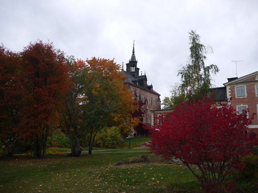 These 203 Beautiful Autumn Photos Will Inspire You To Grab Your Camera These 203 Beautiful Autumn Photos Will Inspire You To Grab Your Camera