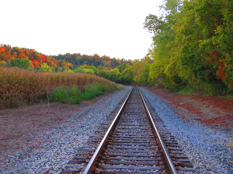 These 203 Beautiful Autumn Photos Will Inspire You To Grab Your Camera These 203 Beautiful Autumn Photos Will Inspire You To Grab Your Camera