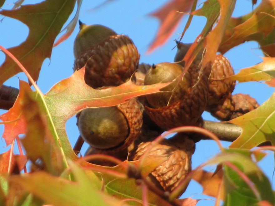 These 203 Beautiful Autumn Photos Will Inspire You To Grab Your Camera These 203 Beautiful Autumn Photos Will Inspire You To Grab Your Camera