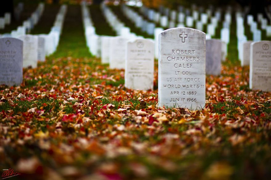 These 203 Beautiful Autumn Photos Will Inspire You To Grab Your Camera These 203 Beautiful Autumn Photos Will Inspire You To Grab Your Camera