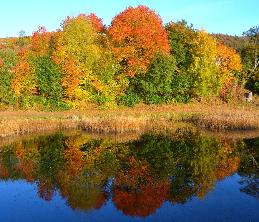 These 203 Beautiful Autumn Photos Will Inspire You To Grab Your Camera These 203 Beautiful Autumn Photos Will Inspire You To Grab Your Camera