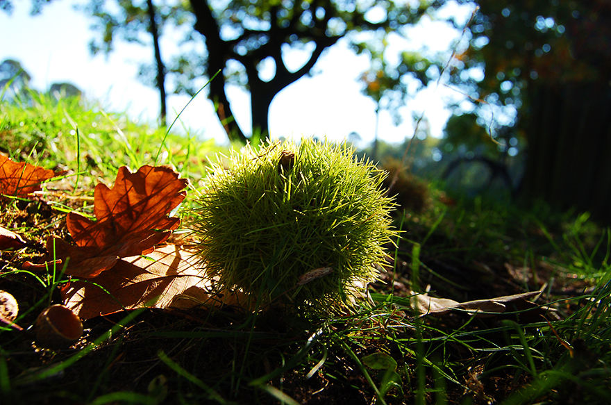 These 203 Beautiful Autumn Photos Will Inspire You To Grab Your Camera These 203 Beautiful Autumn Photos Will Inspire You To Grab Your Camera