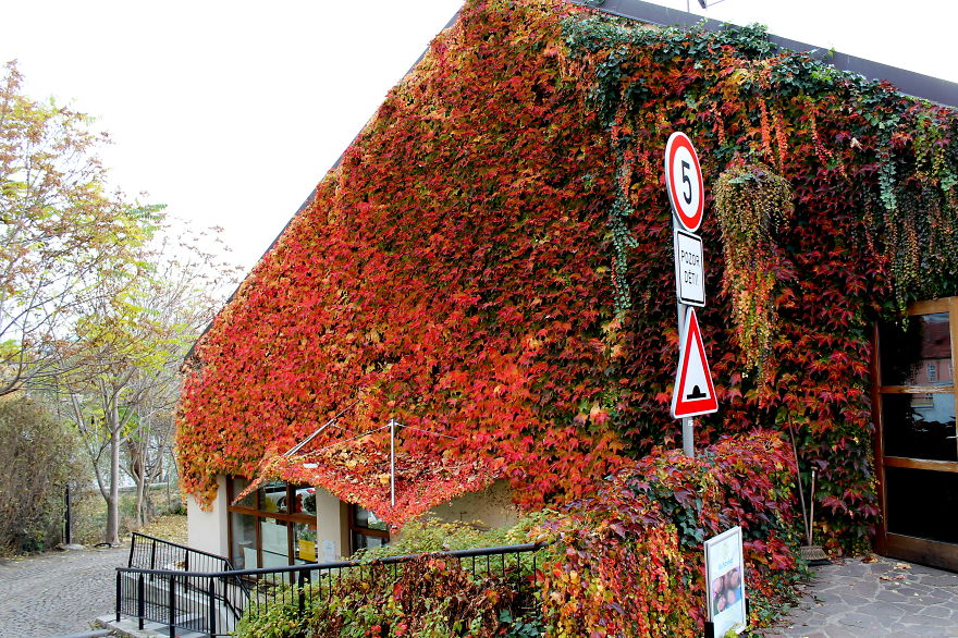 These 203 Beautiful Autumn Photos Will Inspire You To Grab Your Camera These 203 Beautiful Autumn Photos Will Inspire You To Grab Your Camera