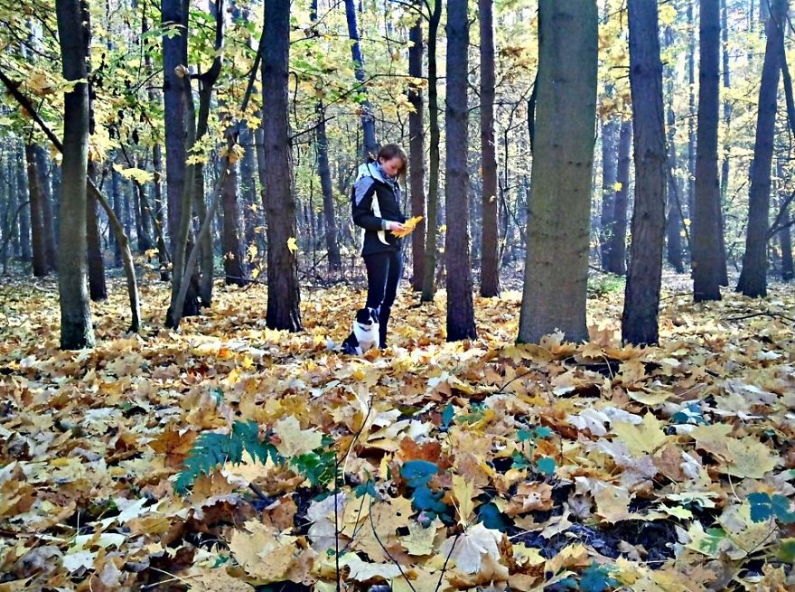 These 203 Beautiful Autumn Photos Will Inspire You To Grab Your Camera These 203 Beautiful Autumn Photos Will Inspire You To Grab Your Camera