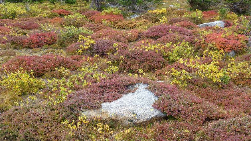 These 203 Beautiful Autumn Photos Will Inspire You To Grab Your Camera These 203 Beautiful Autumn Photos Will Inspire You To Grab Your Camera