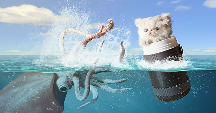 Napoleon The Cat And His Awesome Adventures Napoleon The Cat And His Awesome Adventures