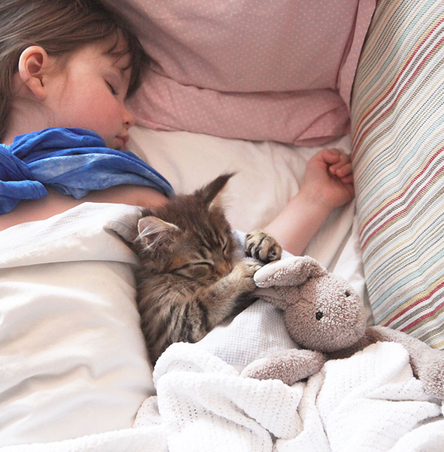 Heartwarming Friendship Of A 5-Year-Old Girl With Autism And Her Therapy Cat
