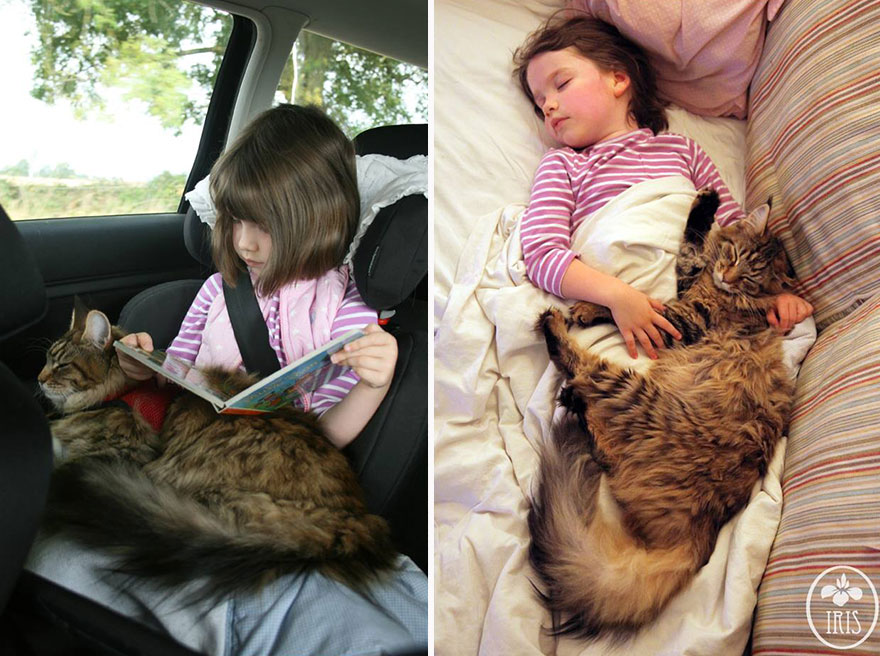 Heartwarming Friendship Of A 5-Year-Old Girl With Autism And Her Therapy Cat