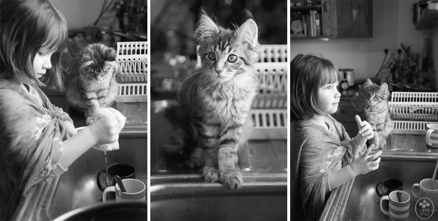 Heartwarming Friendship Of A 5-Year-Old Girl With Autism And Her Therapy Cat