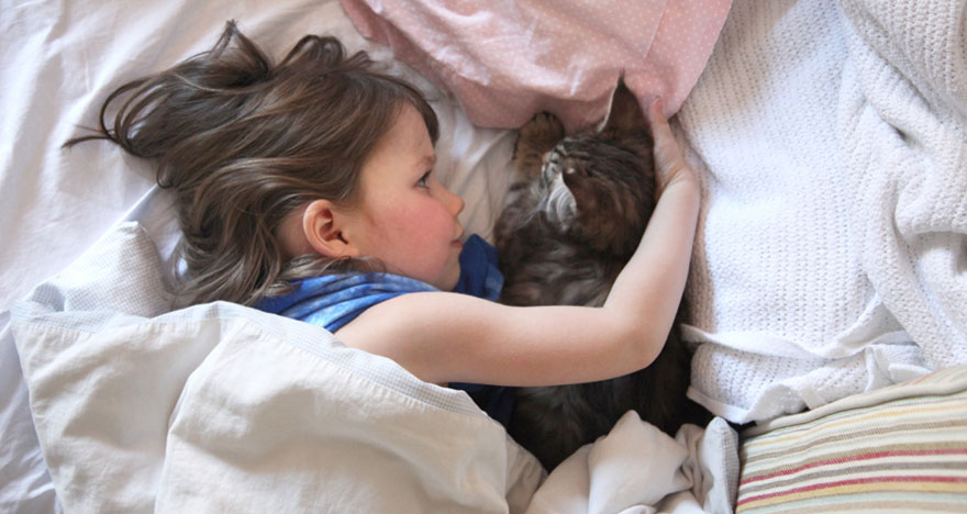 Heartwarming Friendship Of A 5-Year-Old Girl With Autism And Her Therapy Cat