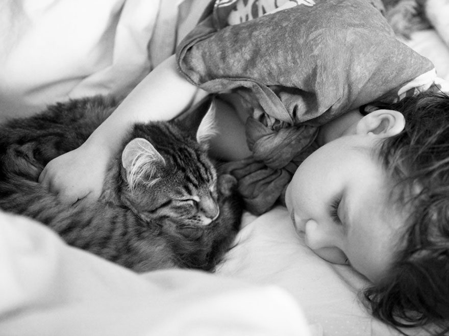 Heartwarming Friendship Of A 5-Year-Old Girl With Autism And Her Therapy Cat