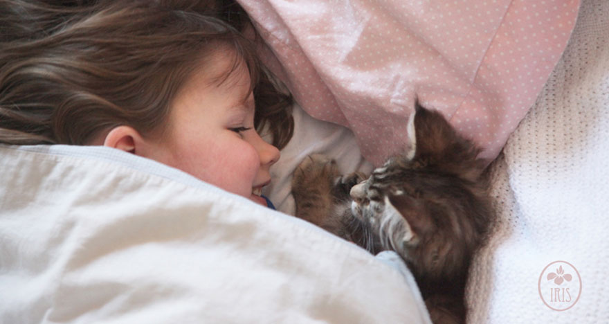 Heartwarming Friendship Of A 5-Year-Old Girl With Autism And Her Therapy Cat