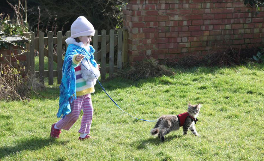 Heartwarming Friendship Of A 5-Year-Old Girl With Autism And Her Therapy Cat