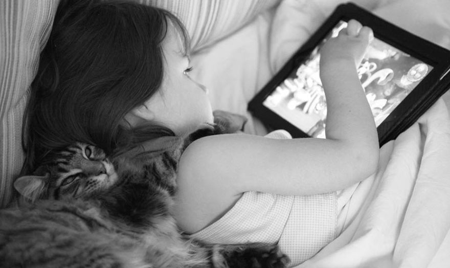 Heartwarming Friendship Of A 5-Year-Old Girl With Autism And Her Therapy Cat