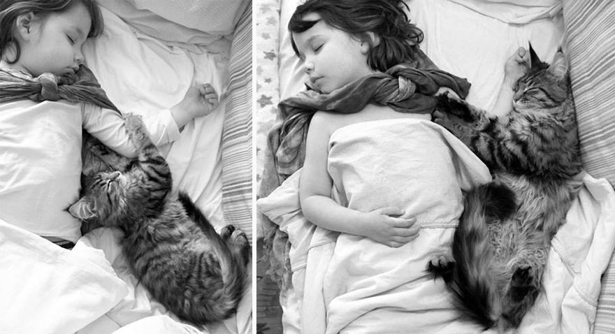 Heartwarming Friendship Of A 5-Year-Old Girl With Autism And Her Therapy Cat