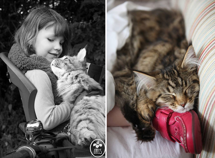 Heartwarming Friendship Of A 5-Year-Old Girl With Autism And Her Therapy Cat