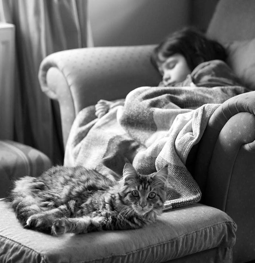 Heartwarming Friendship Of A 5-Year-Old Girl With Autism And Her Therapy Cat