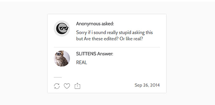 Slittens: Kittens And Sloths Together At Last