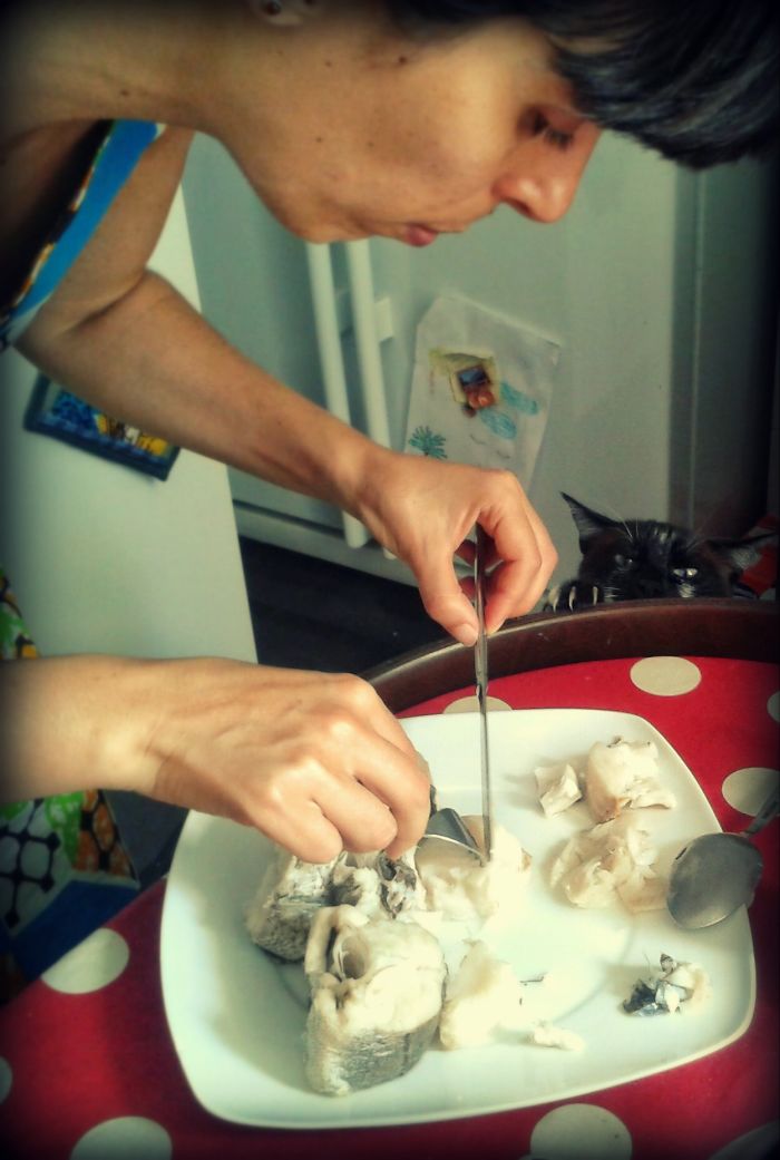 146 Cat-Thieves That Were Caught Red-Pawed