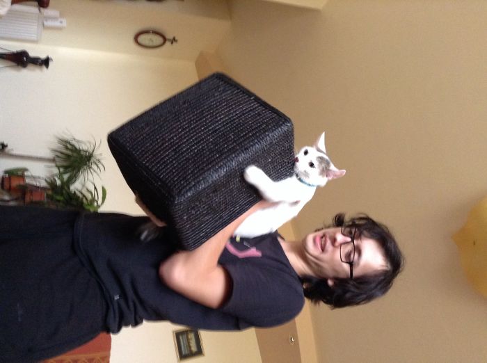 146 Cat-Thieves That Were Caught Red-Pawed