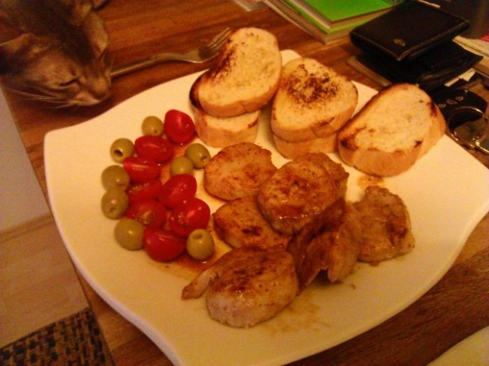 146 Cat-Thieves That Were Caught Red-Pawed