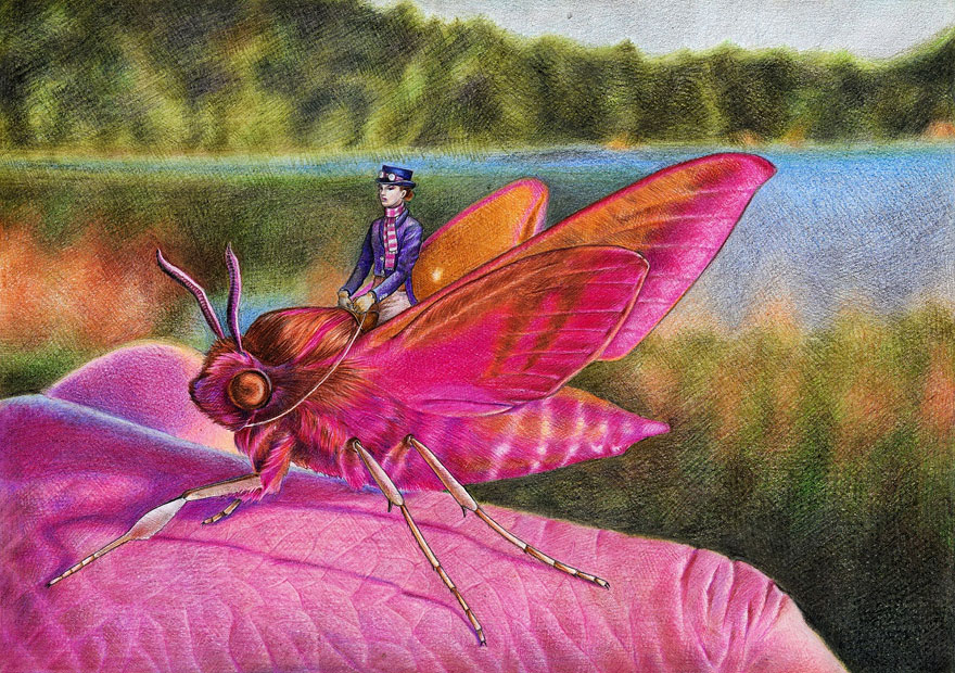 I Drew These Illustrations With Graphite And Coloured Pencils