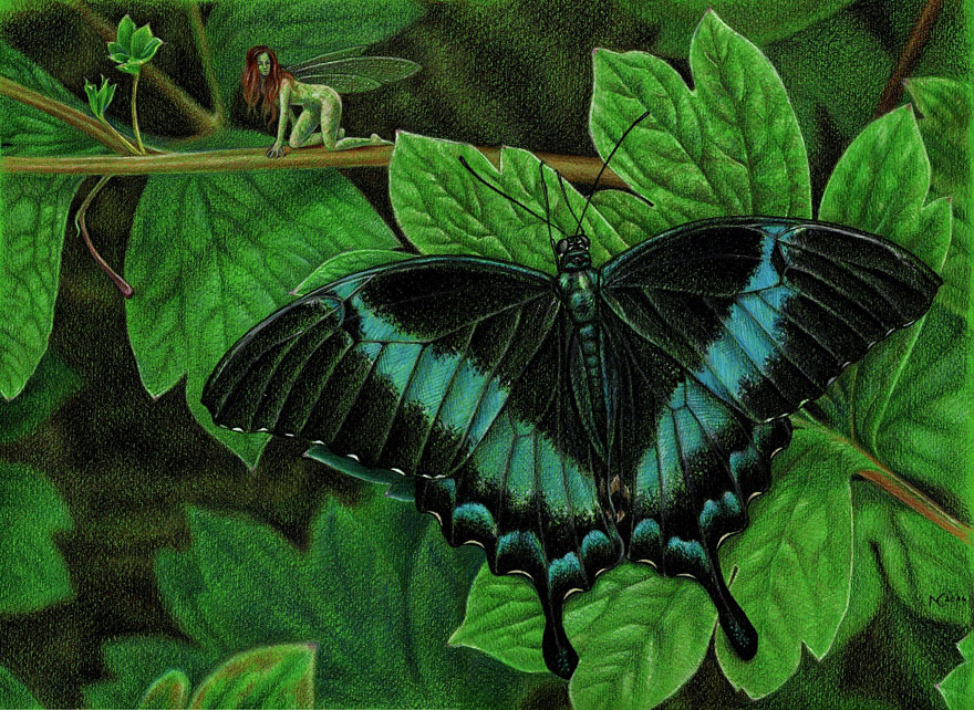 I Drew These Illustrations With Graphite And Coloured Pencils