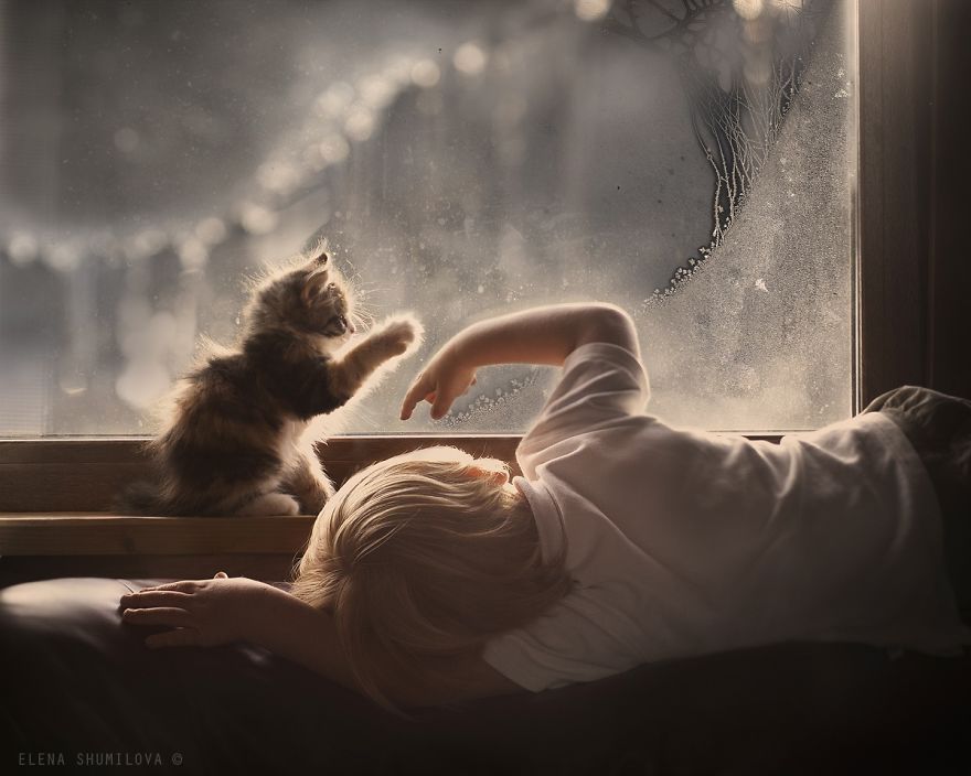 179 Heartwarming Photos Of Kids Playing With Their Cats 179 Heartwarming Photos Of Kids Playing With Their Cats