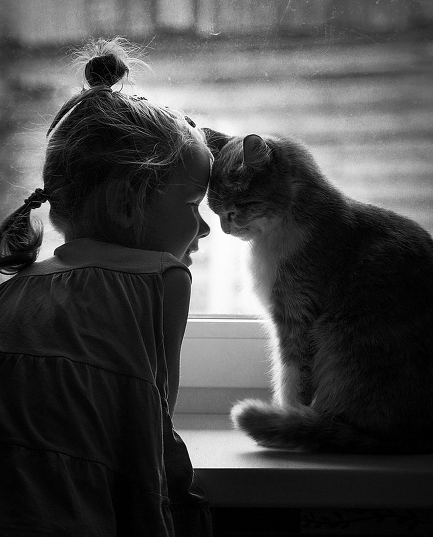 179 Heartwarming Photos Of Kids Playing With Their Cats 179 Heartwarming Photos Of Kids Playing With Their Cats