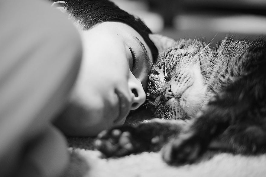 179 Heartwarming Photos Of Kids Playing With Their Cats 179 Heartwarming Photos Of Kids Playing With Their Cats