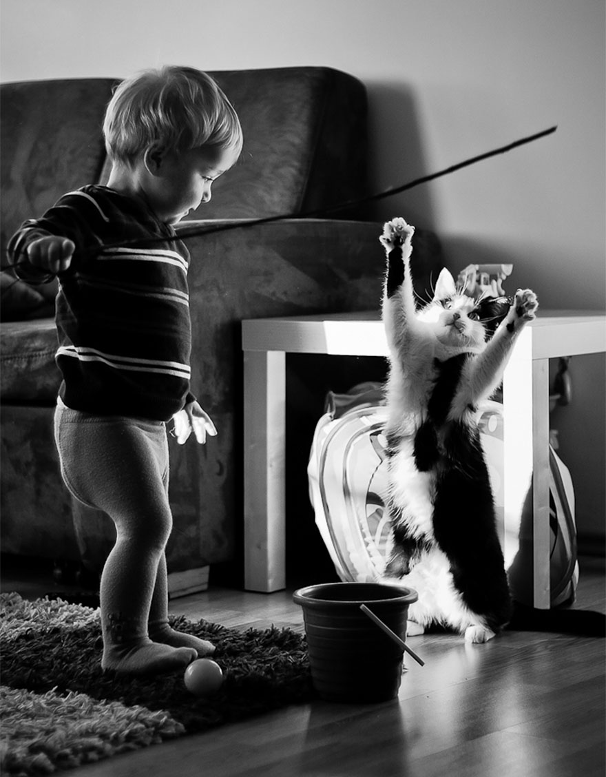 179 Heartwarming Photos Of Kids Playing With Their Cats 179 Heartwarming Photos Of Kids Playing With Their Cats