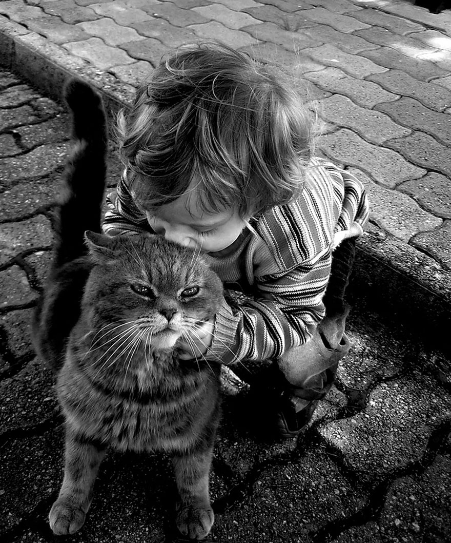179 Heartwarming Photos Of Kids Playing With Their Cats 179 Heartwarming Photos Of Kids Playing With Their Cats