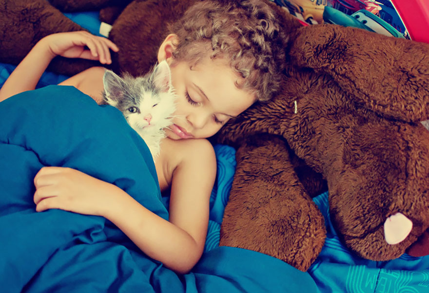 179 Heartwarming Photos Of Kids Playing With Their Cats 179 Heartwarming Photos Of Kids Playing With Their Cats
