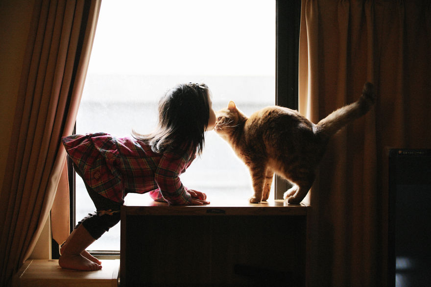 179 Heartwarming Photos Of Kids Playing With Their Cats 179 Heartwarming Photos Of Kids Playing With Their Cats