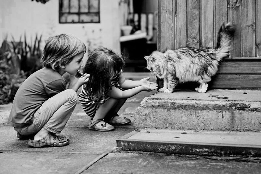 179 Heartwarming Photos Of Kids Playing With Their Cats 179 Heartwarming Photos Of Kids Playing With Their Cats