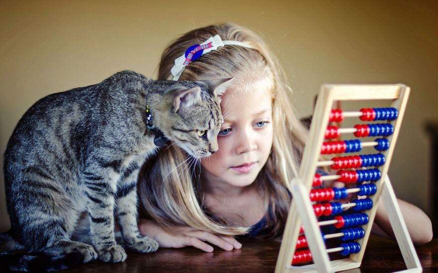 179 Heartwarming Photos Of Kids Playing With Their Cats 179 Heartwarming Photos Of Kids Playing With Their Cats
