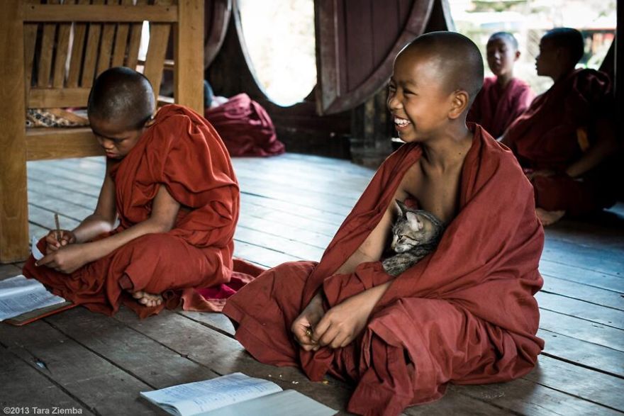 179 Heartwarming Photos Of Kids Playing With Their Cats 179 Heartwarming Photos Of Kids Playing With Their Cats