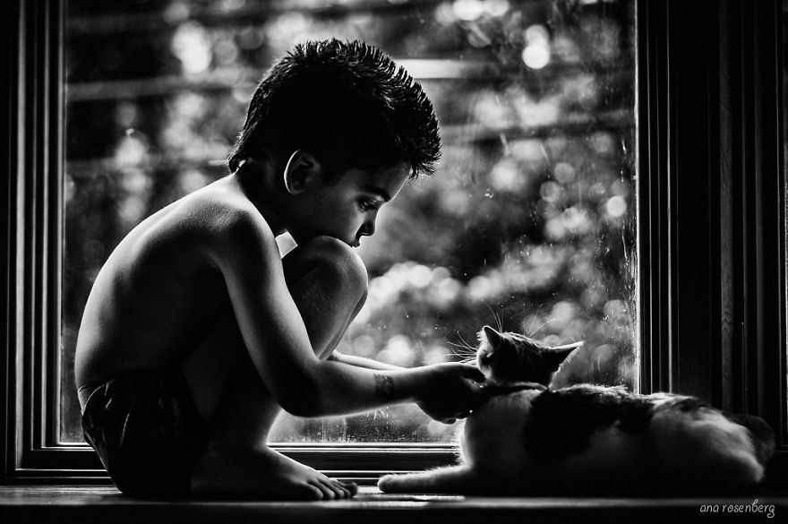 179 Heartwarming Photos Of Kids Playing With Their Cats 179 Heartwarming Photos Of Kids Playing With Their Cats